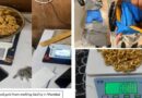 DRI dismantles organised gold smuggling syndicate operating in Mumbai, Bengaluru and Visakhapatnam