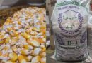 DRI Foils Attempt to Illegally Export 56 Kg Methamphetamine to Saudi Arabia, Two Arrested