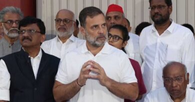 “Constitution torn up, fighting to restore democracy in country”: Rahul Gandhi